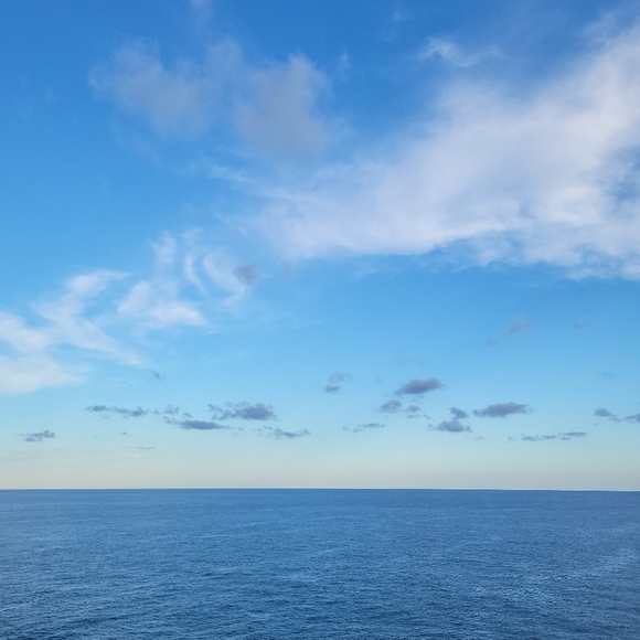 Meet your Posher, Tyasha - Picture 1 of 2